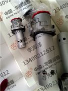 ZL12-122系列自封式磁性吸油过滤器 华豫滤器